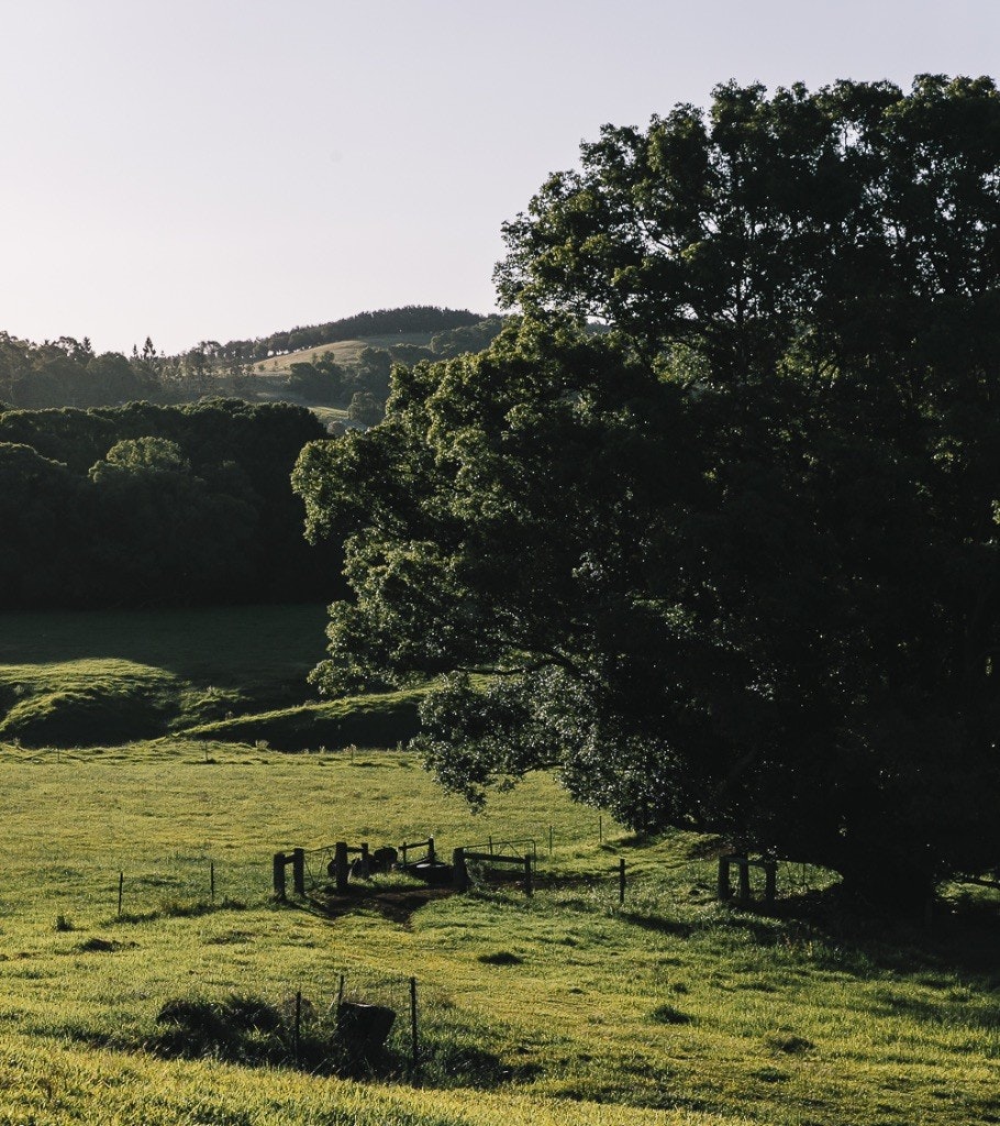 Green fields feature on the Frida’s Field property.